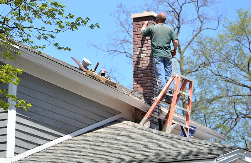Chimney & Fireplace Inspections Services in Chaska, MN